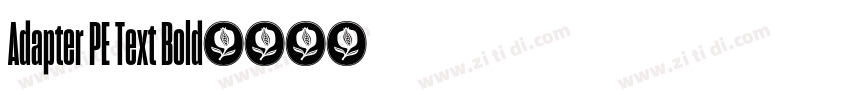 Adapter PE Text Bold字体转换